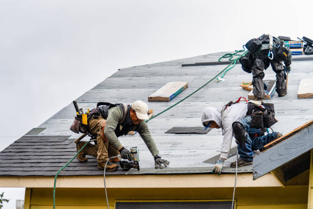 Professional Roof Repair technician working in New London, OH